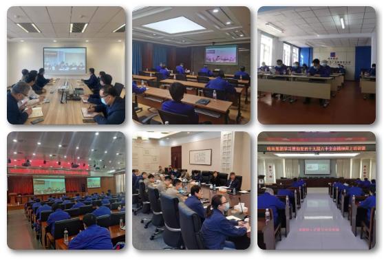 6008集团官方网站(中国)股份有限公司